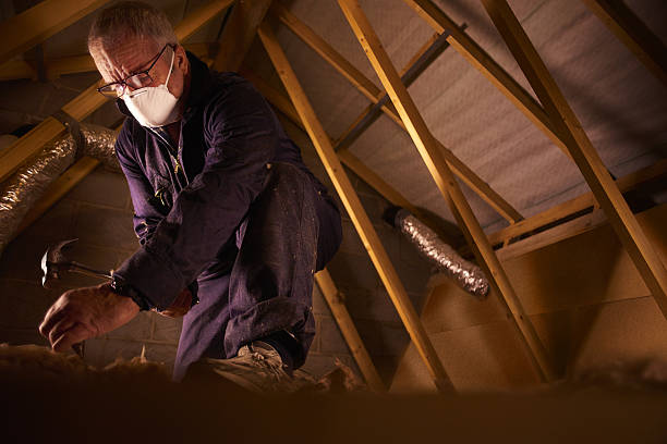 Best Insulation Materials and Products in Grant City, MO
