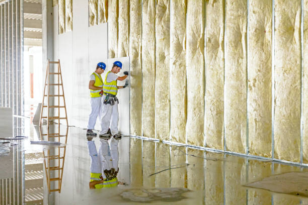 Best Specialty Insulation in Grant City, MO